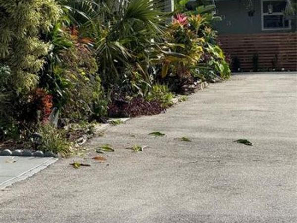 2452 Taylor St, Unit 204, Hollywood, FL 33020