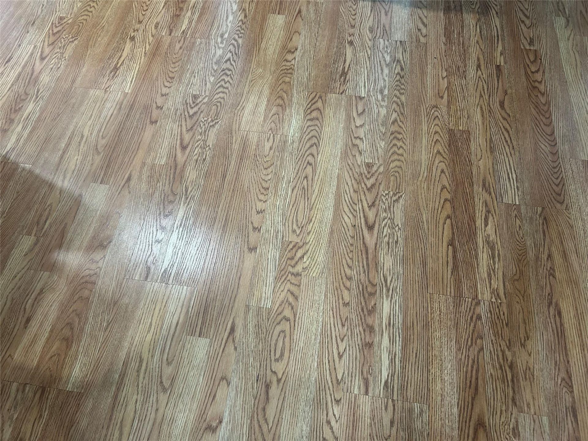 6260 NE 18th Avenue, Unit 711, Fort Lauderdale, FL 33334 Photo