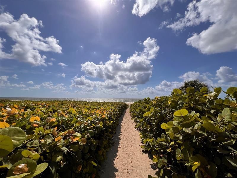 531 N Ocean Boulevard, Unit 1711, Pompano Beach, FL 33062 Photo