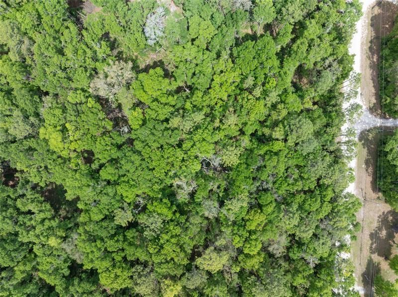 208 Street Street 139 Drive, O Brien, FL 32071 Photo