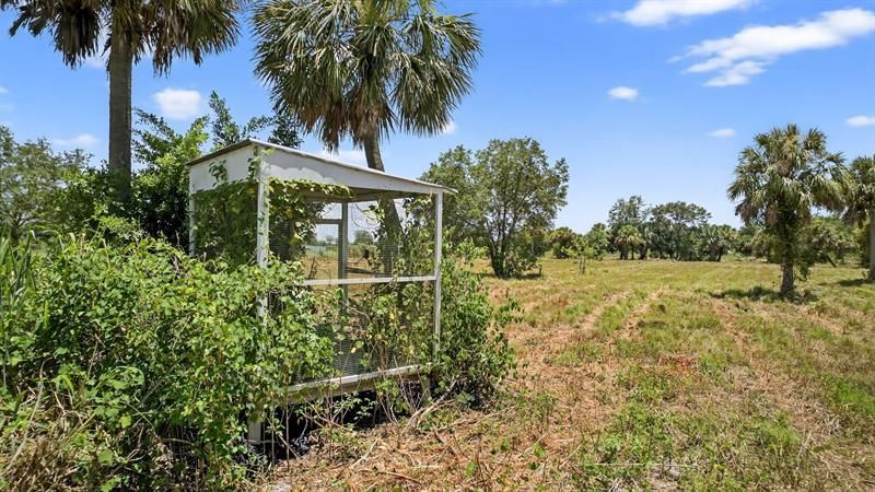 Xx Xx Bedu Court, Loxahatchee, FL 33470 Photo