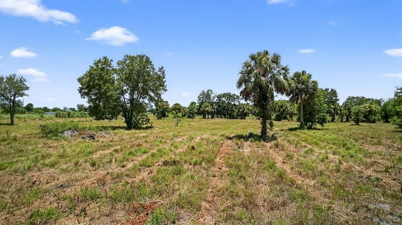 Xx Xx Bedu Court, Loxahatchee, FL 33470 Photo