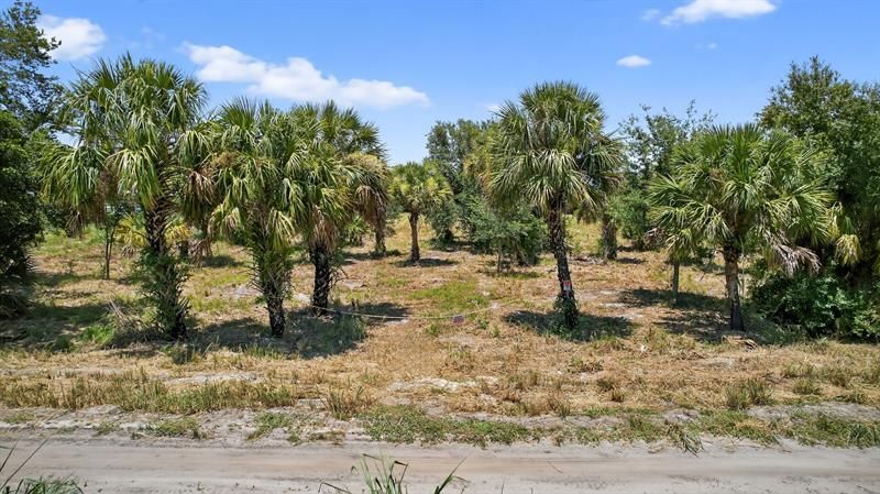 Xx Xx Bedu Court, Loxahatchee, FL 33470 Photo