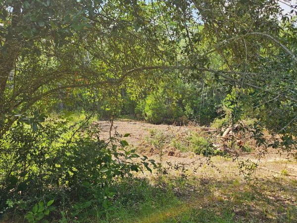 4957 Timothy Twitchell Drive, Milton, FL 32583