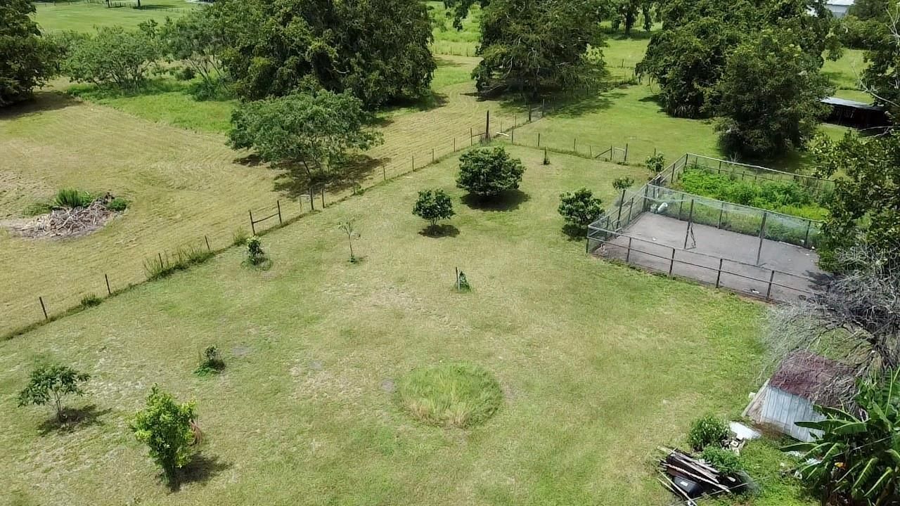 9150 SW 151st Lane, Archer, FL 32618 Photo