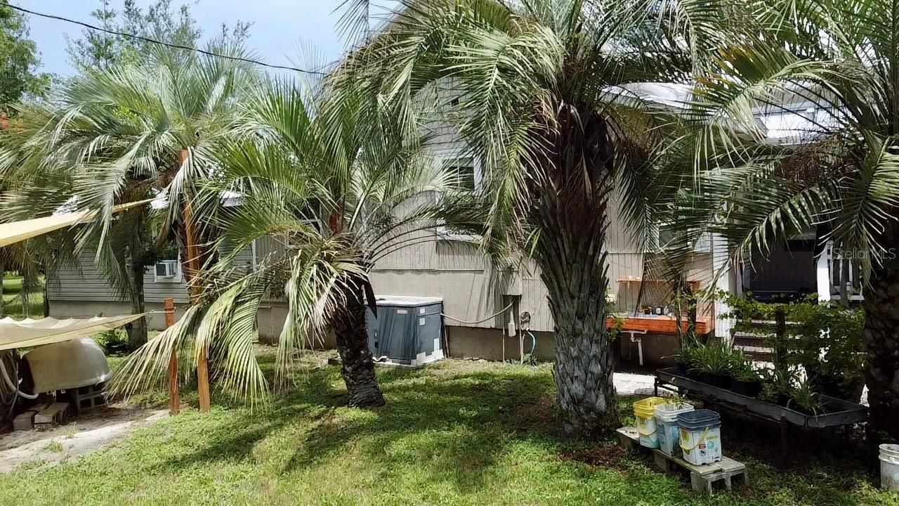 9150 SW 151st Lane, Archer, FL 32618 Photo