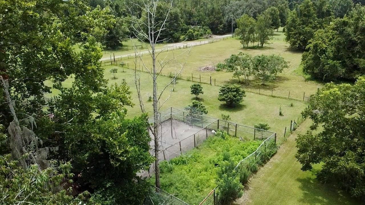 9150 SW 151st Lane, Archer, FL 32618 Photo