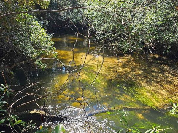 4957 Timothy Twitchell Dr, Pace, FL 32571