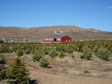 3995 Bacon Rind Road, Reno, NV 89510 Photo
