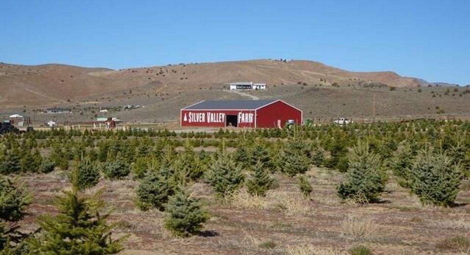 3995 Bacon Rind Road, Reno, NV 89510 Photo