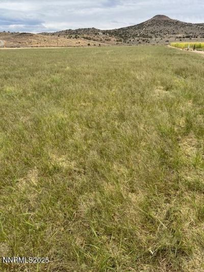 3995 Bacon Rind Road, Reno, NV 89510 Photo