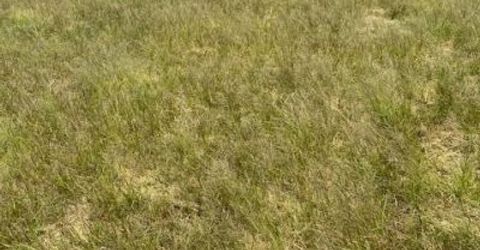 3995 Bacon Rind Road, Reno, NV 89510 Photo