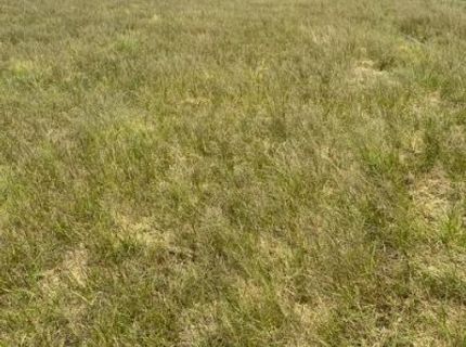 3995 Bacon Rind Road, Reno, NV 89510 Photo