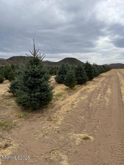 3995 Bacon Rind Road, Reno, NV 89510 Photo