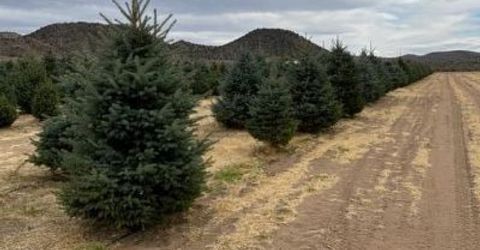 3995 Bacon Rind Road, Reno, NV 89510 Photo