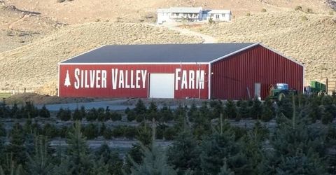 3995 Bacon Rind Road, Reno, NV 89510 Photo