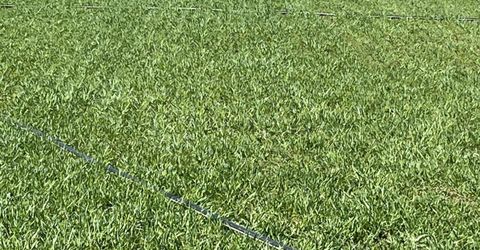 3995 Bacon Rind Road, Reno, NV 89510 Photo