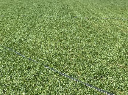 3995 Bacon Rind Road, Reno, NV 89510 Photo