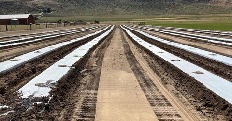 3995 Bacon Rind Road, Reno, NV 89510 Photo