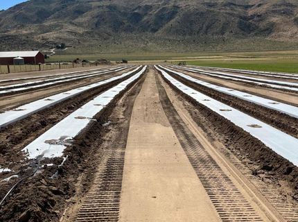 3995 Bacon Rind Road, Reno, NV 89510 Photo