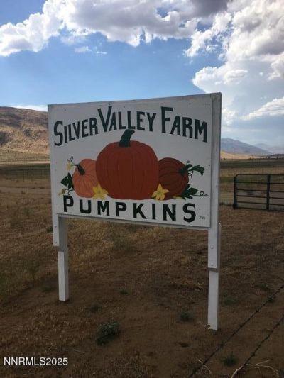 3995 Bacon Rind Road, Reno, NV 89510 Photo