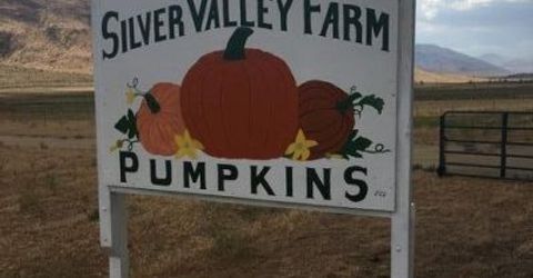 3995 Bacon Rind Road, Reno, NV 89510 Photo