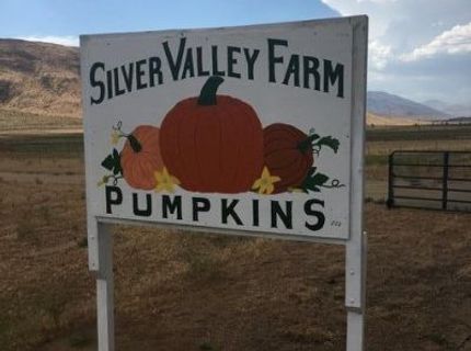 3995 Bacon Rind Road, Reno, NV 89510 Photo