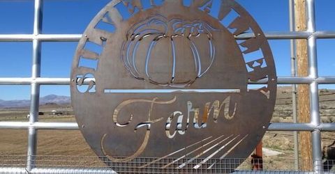 3995 Bacon Rind Road, Reno, NV 89510 Photo