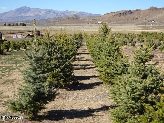 3995 Bacon Rind Road, Reno, NV 89510 Photo