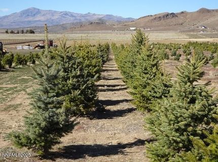 3995 Bacon Rind Road, Reno, NV 89510 Photo