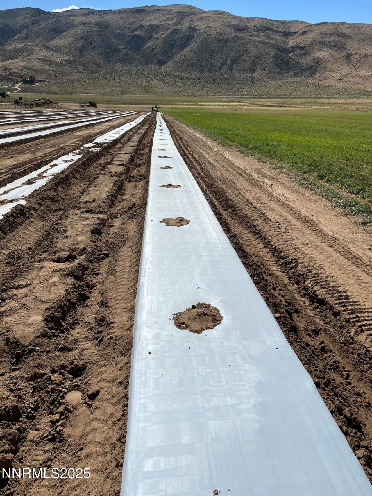 3995 Bacon Rind Road, Reno, NV 89510 Photo