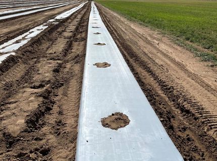 3995 Bacon Rind Road, Reno, NV 89510 Photo