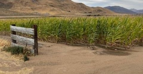 3995 Bacon Rind Road, Reno, NV 89510 Photo