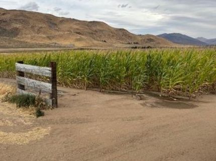 3995 Bacon Rind Road, Reno, NV 89510 Photo