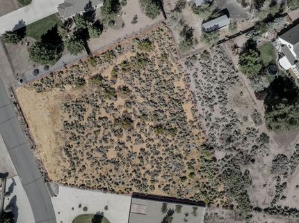 822 Coffey Drive, Carson City, NV 89701 Photo