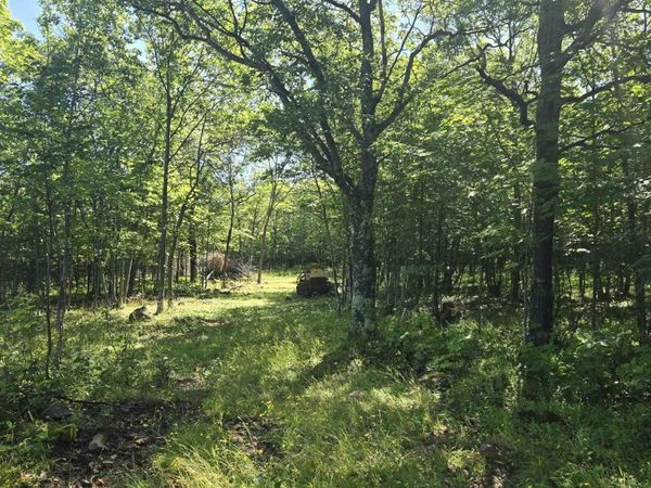 1021 Sedar Hill(Parcel C) Road, Allouez Twp, MI 49950