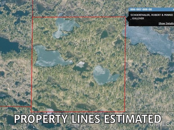 39 Acres TBD Road, Mueller Twp, MI 49836