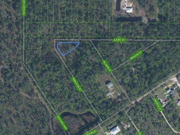2124 Abington, Sebring, FL 33875