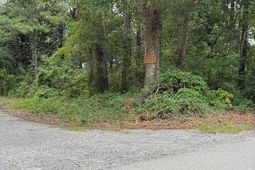 3591 Adam Ct. photo 4