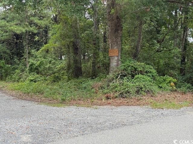 3591 Adam Ct. Photo 5