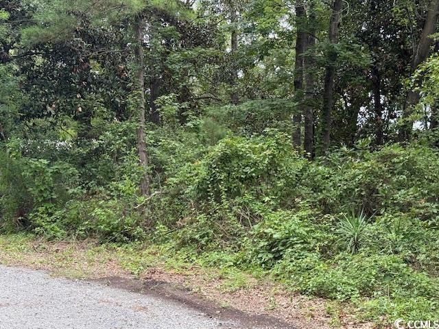 3591 Adam Ct. Photo 6