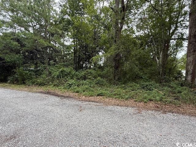 3591 Adam Ct. Photo 7