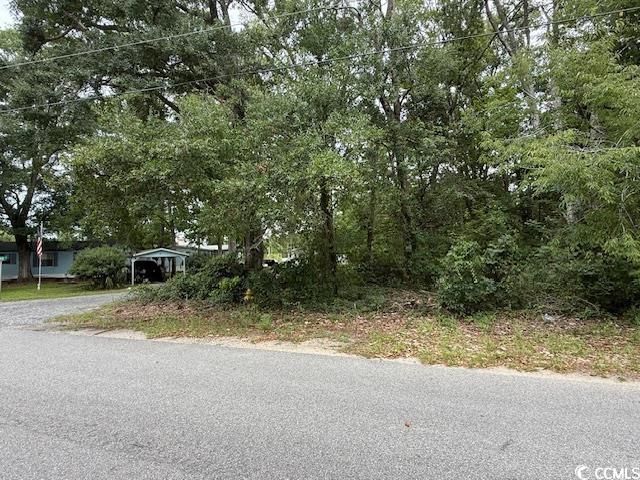 3591 Adam Ct. Photo 9