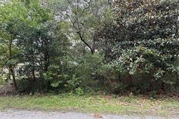 3587 Adam Ct. photo 4