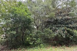 3587 Adam Ct. photo 4