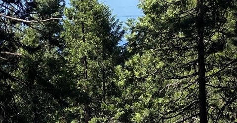 7398 Highway 147, Lake Almanor, CA 96137 Photo