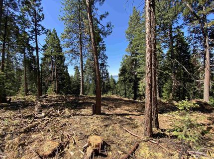 7398 Highway 147, Lake Almanor, CA 96137 Photo