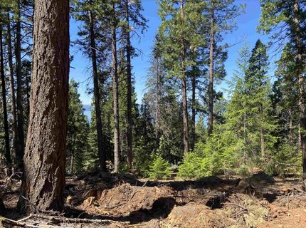 7398 Highway 147, Lake Almanor, CA 96137 Photo