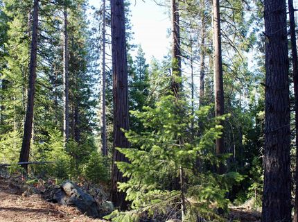 7398 Highway 147, Lake Almanor, CA 96137 Photo