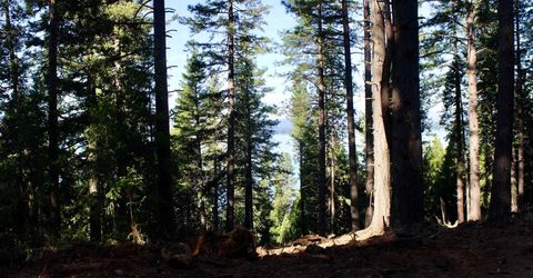 7398 Highway 147, Lake Almanor, CA 96137 Photo